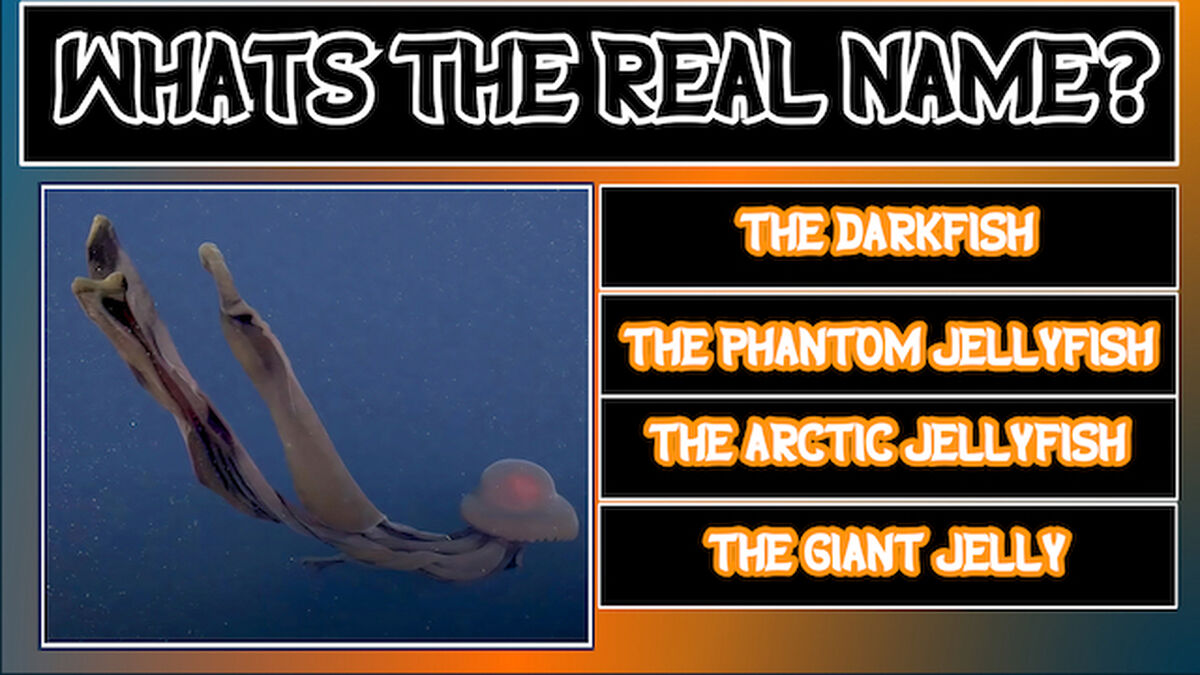 Frightful Face-Off: Deep Sea Edition image number null